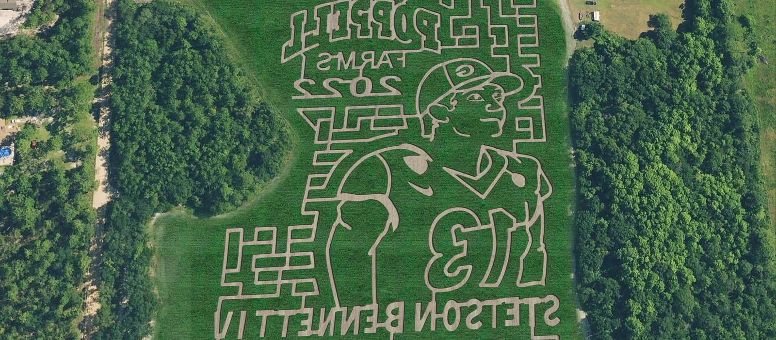 Poppell Farms Maze 